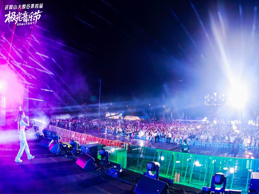 音樂節策劃公司 (1)