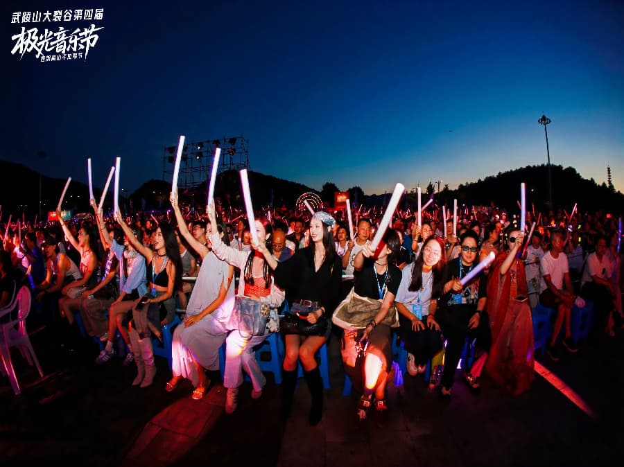 音樂節策劃公司 (5)