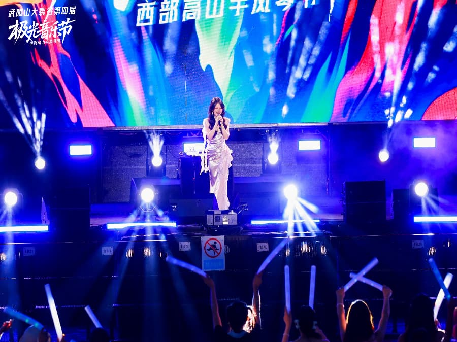 音樂節策劃公司 (14)