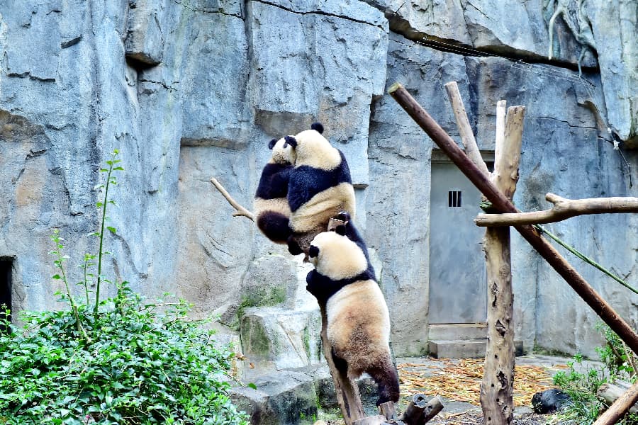 成都活動(dòng)策劃12.JPG 成都活動(dòng)策劃12.JPG